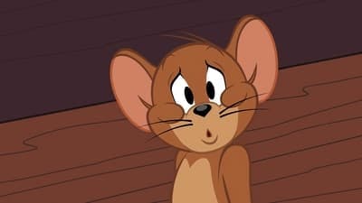 Assistir O Show de Tom e Jerry Temporada 2 Episódio 11 Online em HD