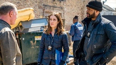 Assistir Chicago P.D.: Distrito 21 Temporada 6 Episódio 22 Online em HD