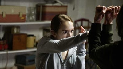 Assistir The Americans Temporada 5 Episódio 13 Online em HD