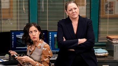Assistir Lei & Ordem Temporada 22 Episódio 21 Online em HD
