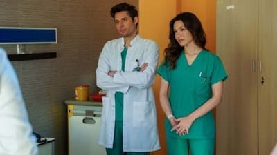 Assistir The Town Doctor Temporada 1 Episódio 11 Online em HD