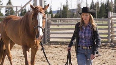 Assistir Heartland Temporada 7 Episódio 1 Online em HD