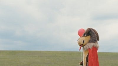 Assistir Quem é a Loba? Temporada 14 Episódio 12 Online em HD