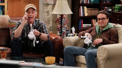 Assistir Big Bang: A Teoria Temporada 4 Episódio 9 Online em HD