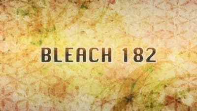 Assistir Bleach Temporada 1 Episódio 182 Online em HD