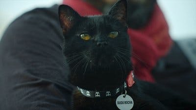 Assistir The Others Temporada 2 Episódio 7 Online em HD