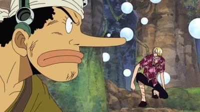 Assistir One Piece Temporada 6 Episódio 161 Online em HD