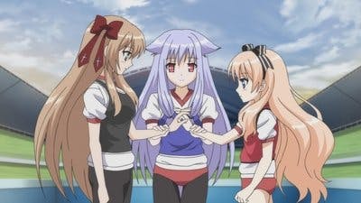 Assistir Mayoi Neko Overrun Temporada 1 Episódio 12 Online em HD