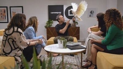Assistir Pet Stars Temporada 1 Episódio 3 Online em HD