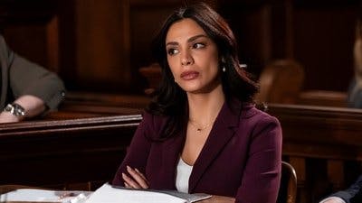 Assistir Lei & Ordem Temporada 23 Episódio 13 Online em HD