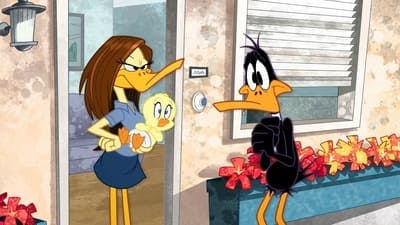 Assistir O Show dos Looney Tunes Temporada 1 Episódio 16 Online em HD