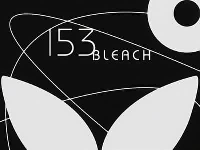 Assistir Bleach Temporada 1 Episódio 153 Online em HD