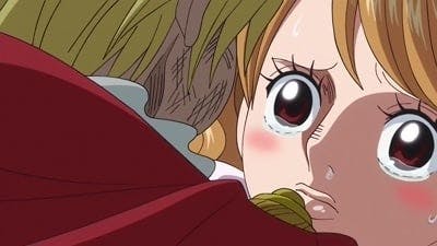 Assistir One Piece Temporada 19 Episódio 810 Online em HD