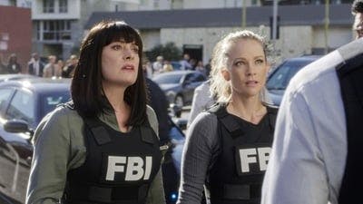 Assistir Mentes Criminosas Temporada 14 Episódio 7 Online em HD