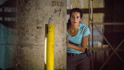 Assistir Rizzoli & Isles Temporada 5 Episódio 8 Online em HD