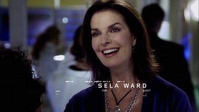 Assistir CSI: Nova York Temporada 7 Episódio 12 Online em HD