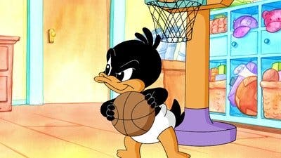 Assistir Baby Looney Tunes Temporada 1 Episódio 17 Online em HD
