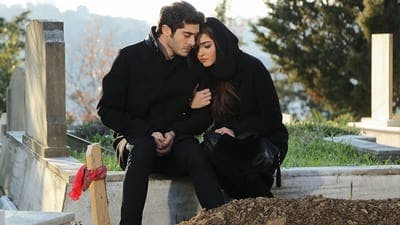 Assistir Aşk Laftan Anlamaz Temporada 1 Episódio 29 Online em HD