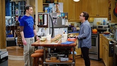 Assistir Big Bang: A Teoria Temporada 9 Episódio 21 Online em HD