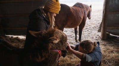 Assistir Clínica Animal com Dr. Pol Temporada 24 Episódio 4 Online em HD