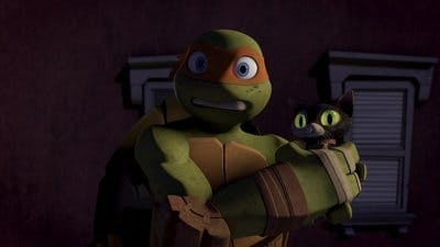 Assistir As Tartarugas Ninjas Temporada 1 Episódio 4 Online em HD