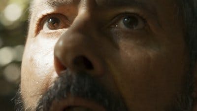 Assistir Rebirth Temporada 1 Episódio 176 Online em HD