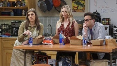 Assistir Big Bang: A Teoria Temporada 10 Episódio 9 Online em HD