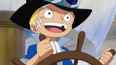 Assistir One Piece Temporada 13 Episódio 502 Online em HD