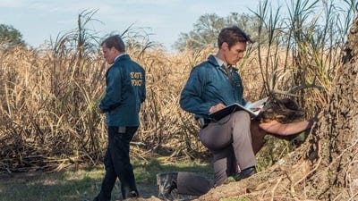 Assistir True Detective Temporada 1 Episódio 1 Online em HD