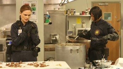 Assistir Bones Temporada 9 Episódio 10 Online em HD