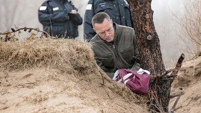 Assistir Chicago P.D.: Distrito 21 Temporada 3 Episódio 20 Online em HD