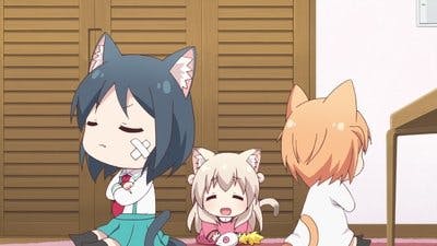 Assistir Nyanko Days Temporada 1 Episódio 8 Online em HD