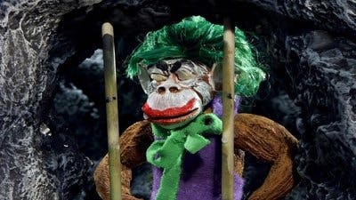 Assistir Frango Robô Temporada 1 Episódio 19 Online em HD