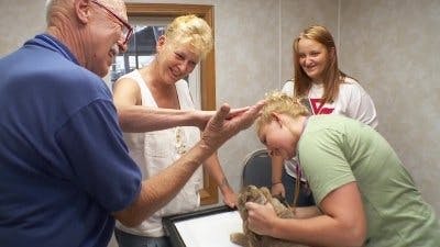 Assistir Clínica Animal com Dr. Pol Temporada 15 Episódio 3 Online em HD