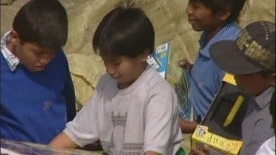 Assistir Maria do Bairro Temporada 1 Episódio 53 Online em HD