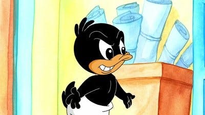 Assistir Baby Looney Tunes Temporada 1 Episódio 19 Online em HD