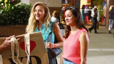 Assistir Os Goldbergs Temporada 4 Episódio 2 Online em HD