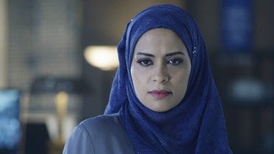 Assistir Quantico Temporada 1 Episódio 10 Online em HD