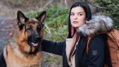 Assistir Hudson & Rex Temporada 3 Episódio 11 Online em HD