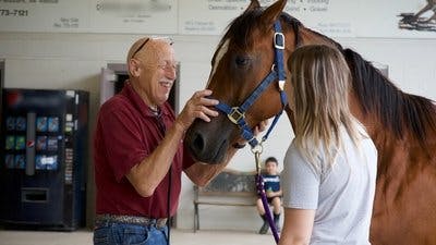 Assistir Clínica Animal com Dr. Pol Temporada 23 Episódio 2 Online em HD