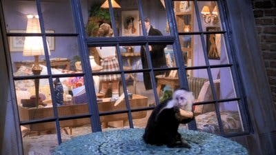 Assistir Friends Temporada 1 Episódio 19 Online em HD