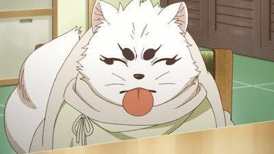 Assistir Gingitsune Temporada 1 Episódio 6 Online em HD