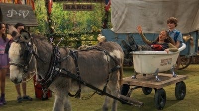Assistir Acampados Temporada 7 Episódio 22 Online em HD