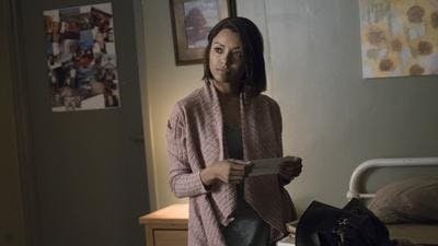 Assistir Diários de um Vampiro Temporada 7 Episódio 18 Online em HD