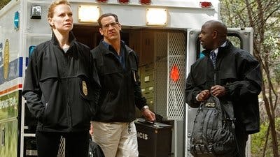 Assistir NCIS: Investigação Naval Temporada 8 Episódio 23 Online em HD