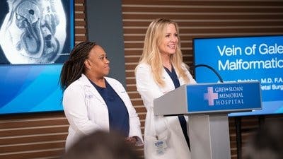 Assistir Anatomia de Grey Temporada 20 Episódio 4 Online em HD