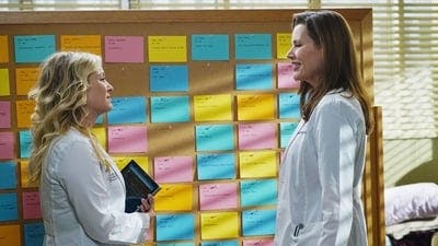 Assistir Grey’s Anatomy Temporada 11 Episódio 13 Online em HD