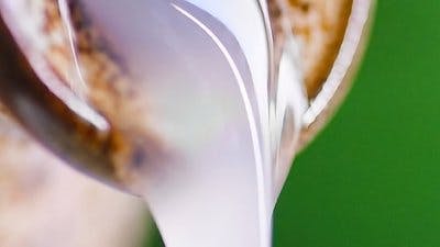 Assistir A Origem do Sabor Temporada 5 Episódio 7 Online em HD
