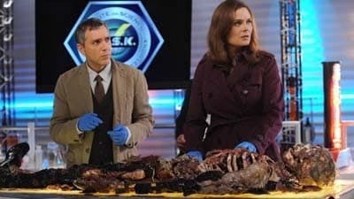 Assistir Bones Temporada 7 Episódio 12 Online em HD