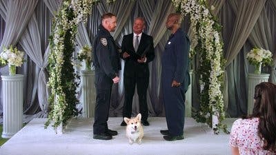 Assistir Brooklyn Nine-Nine: Lei e Desordem Temporada 8 Episódio 8 Online em HD